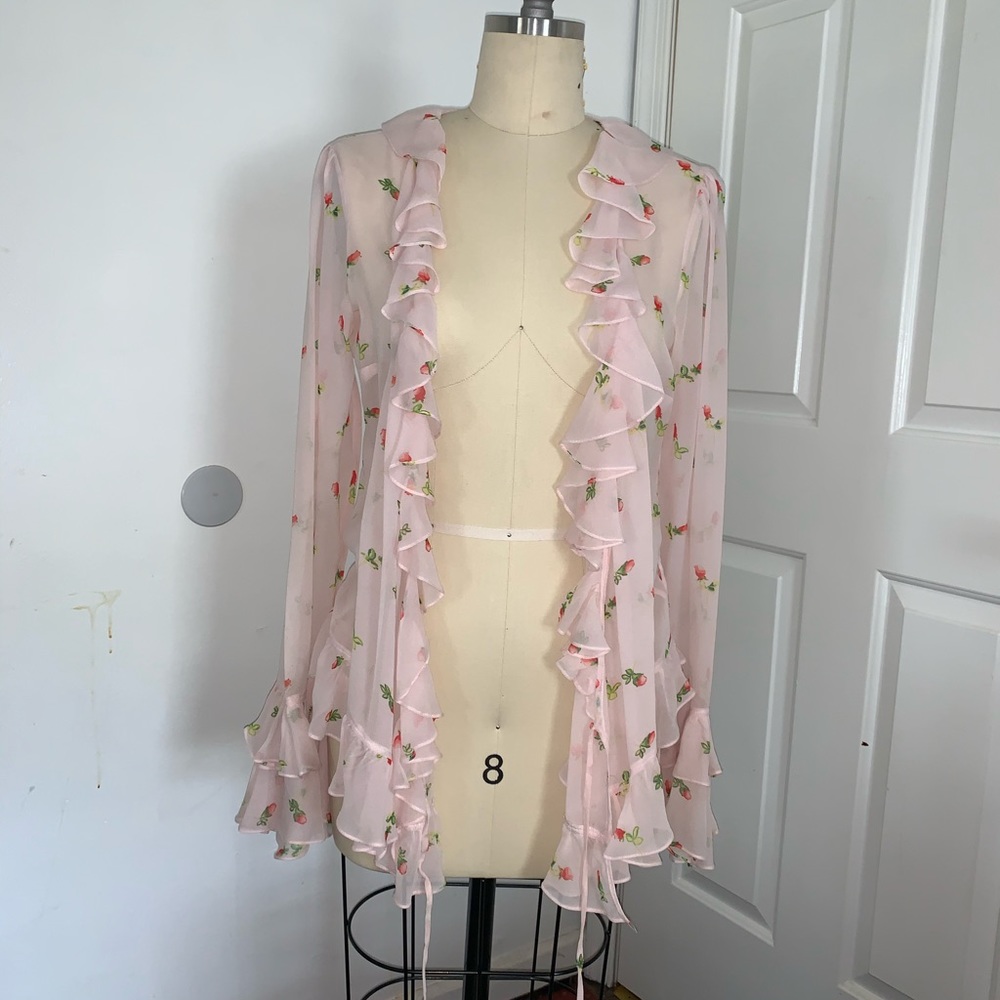 Sheer Blouse - Picture 5 of 5